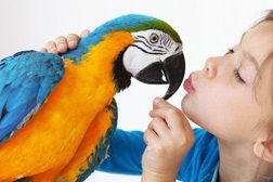 Ветеринарная клиника Sinta-Vet, с рейтингом 4 - находится по адресу Омск, улица Дмитриева, 1/7 