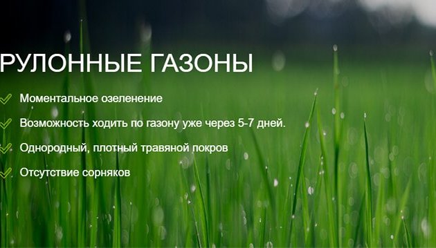 Найти Магазины интимных товаров (18+), узнать адреса и телефоны - BLIZKO