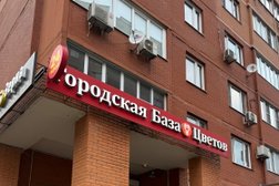 Городская база цветов, с рейтингом 3 - находится по адресу Московская область, Мытищи, Рождественская улица, 5 