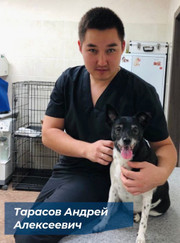 Ветеринар Андрей Алексеевич Тарасов
