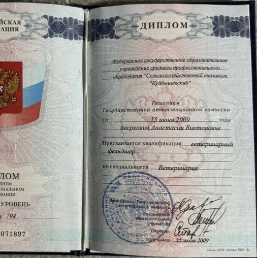Анастасия Викторовна Аверкович