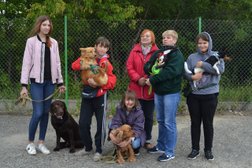 Центр служебного собаководства регионального отделения ДОСААФ России, с рейтингом 2.6 - находится по адресу Республика Марий Эл, Йошкар-Ола, Красноармейская улица, 8 