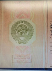 Ветеринарный врач-дерматолог, ветеринарный врач-терапевт Анна Григорьевна Фельгрон