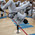 фотография ABADÁ-Capoeira