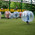 фотография KingBall