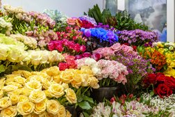 Цветочный салон Донна Роза, с рейтингом 4.6 - находится по адресу Московская область, Химки, улица Дружбы, 1а 