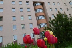 Дом социального обслуживания Покровский, с рейтингом 3.6 - находится по адресу Санкт-Петербург, улица Мира, 6 
