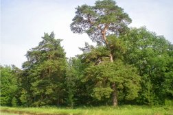 Торговая компания Система, с рейтингом 2 - находится по адресу Самара, улица Советской Армии, 180/3 