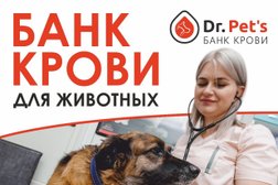 Ветеринарная клиника Зоопульс, с рейтингом 4.9 - находится по адресу Челябинск, Курчатовский район, 454084, Свердловский проспект, 23А 