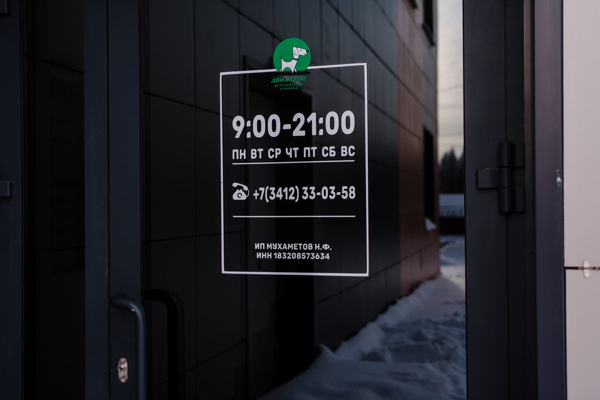 ветклиника движение ижевск. ветклиника движение ижевск. ветклиника движение ижевск. ветклиника движение ижевск. ветеринарная клиника движение.