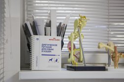 Ветеринарная клиника Багира, с рейтингом 4.2 - находится по адресу Новороссийск, улица Энгельса, 70 