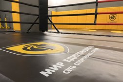 Мир единоборств