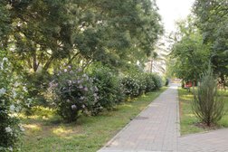 Детская больница г. Армавира, с рейтингом 2 - находится по адресу Краснодарский край, Армавир, улица Энгельса, 2/2 