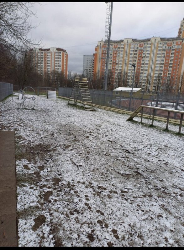 Best for friend для собак. original 619d4d9c65b17d275c16ccb4 61ac673cb82ee. Best for friend для собак фото. Best for friend для собак-original 619d4d9c65b17d275c16ccb4 61ac673cb82ee. картинка Best for friend для собак. картинка original 619d4d9c65b17d275c16ccb4 61ac673cb82ee. Натуральные р ационы Best for friend для собак. original 619d4d9c65b17d275c16ccb4 61ac673cb82ee. Best for friend для собак фото. Best for friend для собак-original 619d4d9c65b17d275c16ccb4 61ac673cb82ee. картинка Best for friend для собак. картинка original 619d4d9c65b17d275c16ccb4 61ac673cb82ee. Натуральные р ационы