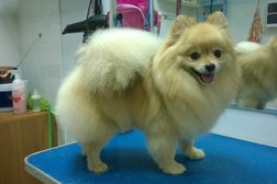 Зоосалон Лапусик, с рейтингом 4.4 - находится по адресу Калуга, Кибальчича, 30 