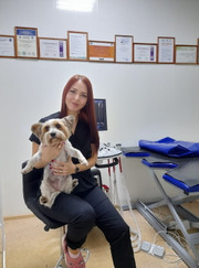Ветеринарный врач УЗИ, ветеринар Анна Ивановна Клеванова