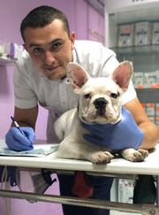 Ветеринарный врач-терапевт, ветеринар Евгений Геннадьевич Кумпан