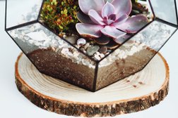 Цветочная мастерская флорариумов и живых растений Гео Гласс, с рейтингом 3.5 - находится по адресу Краснодар, Кожевенная улица, 18 