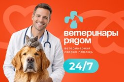 Ветеринары рядом