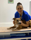 Шурупова Ирина Ивановна