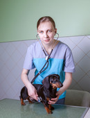 Цибина Юлия Владимировна