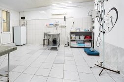 Ветеринарная клиника Алабай, с рейтингом 4.9 - находится по адресу Астрахань, улица Аксакова, 9 