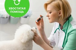 Ветеринарная клиника Хвостатая помощь, с рейтингом 4.9 - находится по адресу Москва, Складочная улица, 1 ст9 
