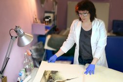 Компания реставрации книг и раритетов на бумажных носителях Реставрация-р, с рейтингом 3.3 - находится по адресу Москва, Каширское шоссе, 17к5с3 