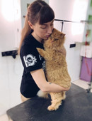 Урмашева Дарья Андреевна