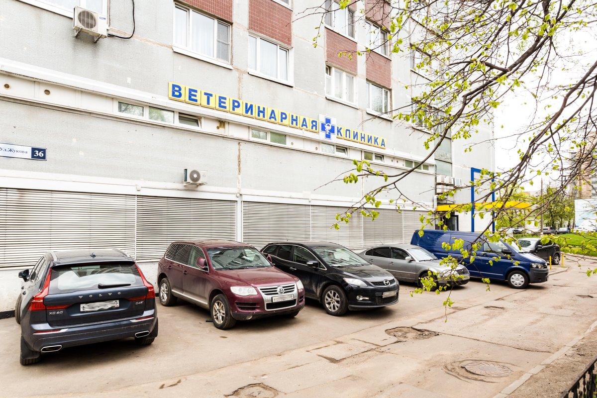 Одинцово Ветклиники