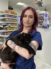 Ветеринарный врач УЗИ, ветеринар Анастасия Сергеевна Горбушина