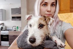 Сервис домашней передержки животных SOBAKAM MAMA, с рейтингом 3.4 - находится по адресу Саратов, Южная улица, 38А 