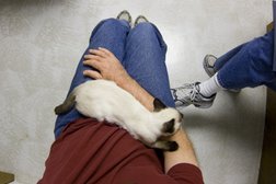 Ветеринарная клиника Друг, с рейтингом 3.6 - находится по адресу Красноярск, Светлогорская улица, 21 