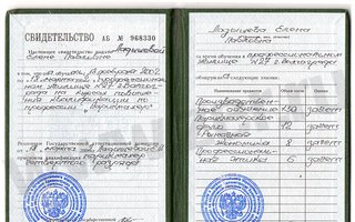 сертификат/документ специалиста по красоте Елены Ладышевой