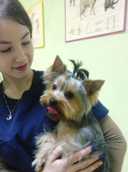 Ветеринар, ветеринарный врач-дерматолог Эльвира Маратовна Сунагатуллина