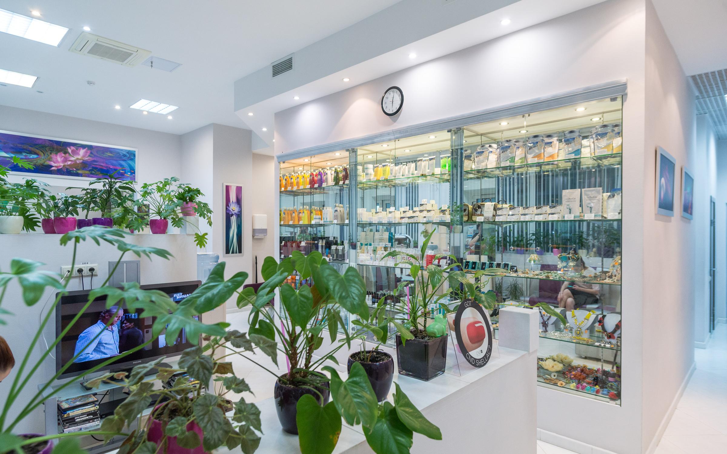 Sugar видное салон. Sugar company. Шугар видное. Sugar видное. Шугар видное.