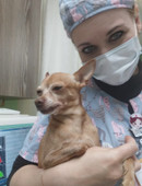 Семёнова Александра Вячеславовна