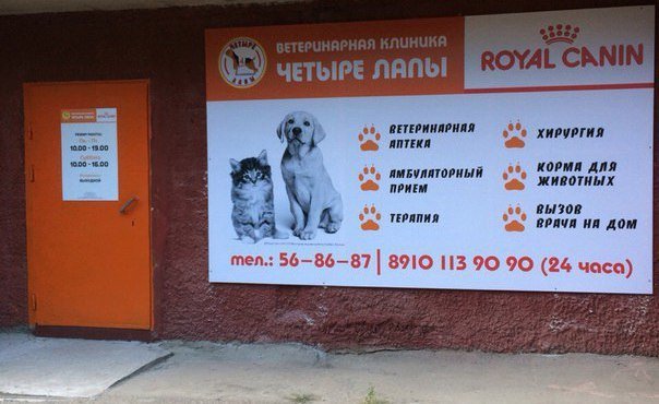 Четыре лапы режим. Ветеринарная клиника Смоленск улица Чапаева 1. Четыре лапы ветклиника. Четыре лапы ветеринарная клиника. Клиника 4 лапы.