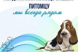 Ветеринарный центр Белый Бим, с рейтингом 3 - находится по адресу Ленинградская область, Кудрово, Европейский проспект, 13 к1 