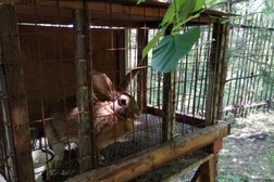 Реабилитационный центр Импульс, с рейтингом 4.6 - находится по адресу Омск, улица Декабристов, 37 