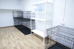 Ветеринарная клиника Звериника, с рейтингом 4.8 - находится по адресу Москва, Нахимовский проспект, 28 к1 