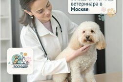 Ветеринарная клиника ЗооЛайн, с рейтингом 5 - находится по адресу Москва, Профсоюзная улица, 128 к3 