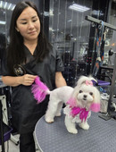 Мирхайдарова Лена Робертовна