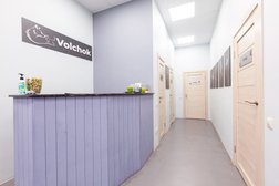 Ветеринарная клиника VOLCHOK, с рейтингом 5 - находится по адресу Москва, Каширское шоссе, 65к1 