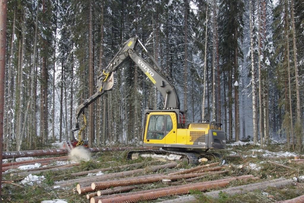 Компания лес. Лесопереработка Вологда. Лесная компания. Российская Лесопилка. Компания в лесу.