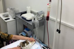 Ветеринарная клиника Мос-Вет 24, с рейтингом 3 - находится по адресу Москва, улица Василисы Кожиной, 23 