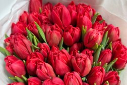 Магазин цветов Флорацентр, с рейтингом 4.7 - находится по адресу Москва, Дмитровское шоссе, 157 ст2 