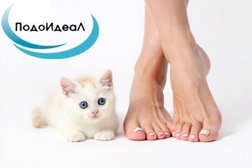 Подоидеал, с рейтингом 4.8 - находится по адресу Оренбург, Салмышская улица, 34 к6 