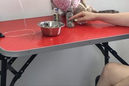 Ветеринарный кабинет Vethouse, с рейтингом 3.8 - находится по адресу Екатеринбург, Братская улица, 27 к3 