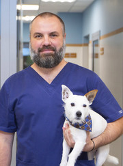 Ветеринарный хирург, ветеринарный невролог Максим Юрьевич Гады